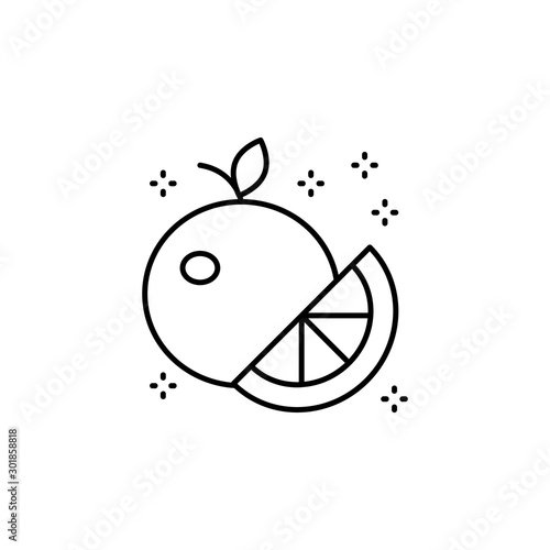 Orange lobule citrus icon. Simple line, outline vector of grocery icons for ui and ux, website or mobile application
