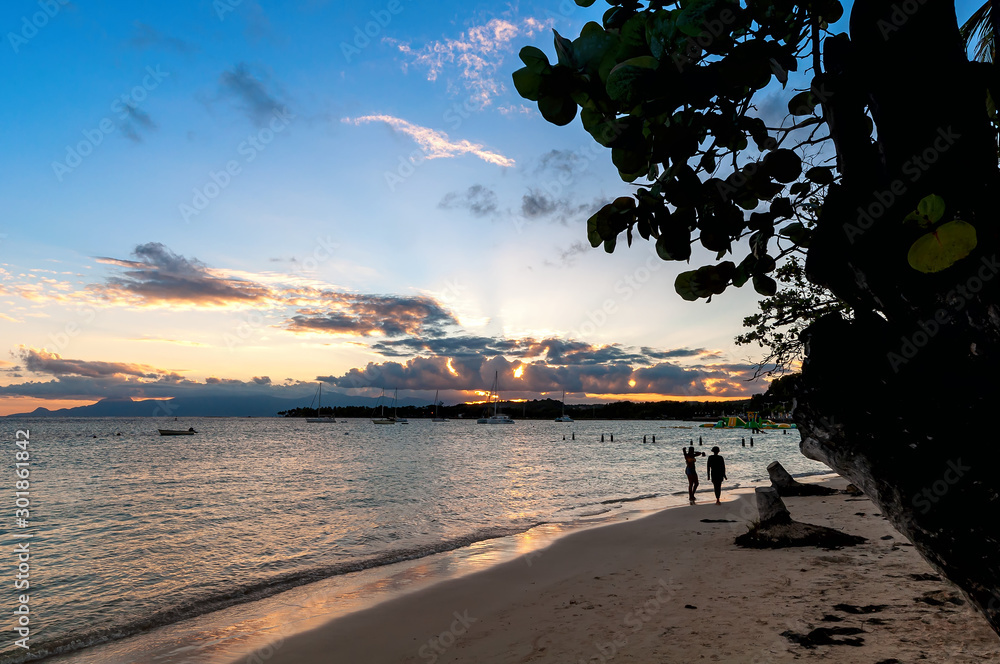Tropical beach of Sainte Anne - Caribbean Sea - Guadeloupe tropical island.
