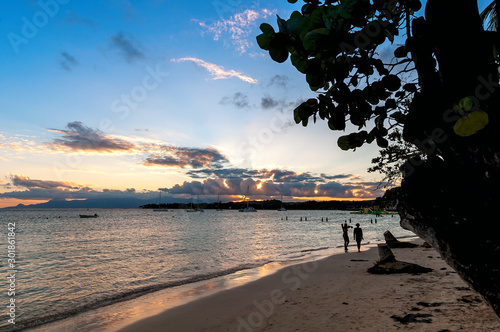 Obraz na płótnie Tropical beach of Sainte Anne - Caribbean Sea - Guadeloupe tropical island. w salonie