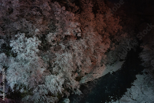 冬の白髭の滝 © makieni