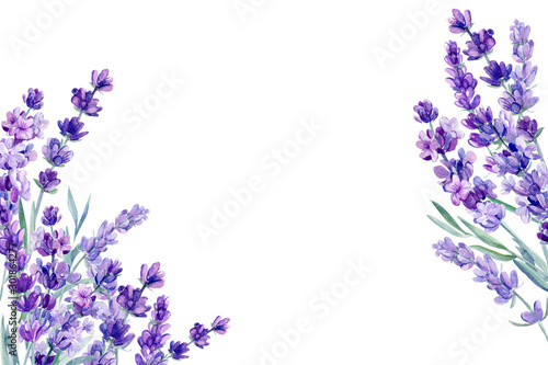 set of lavender flowers elements on an isolated white background, watercolor illustration, hand drawing, greeting card with a place for text photo