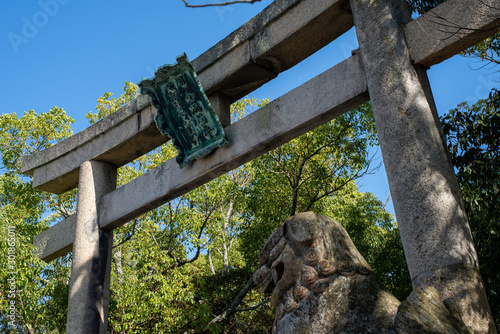 大山祇神社　総本社 photo