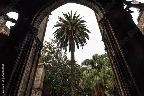 Beautiful Barcelona cathedral cloister vista, Catalonia