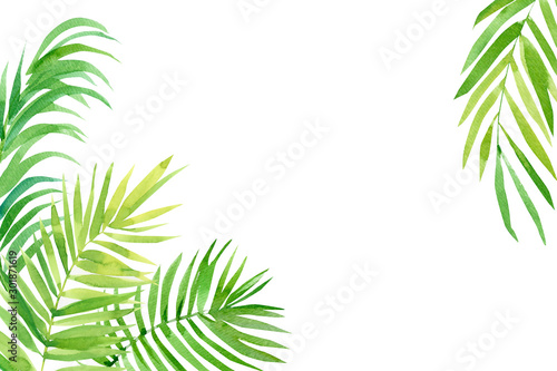 tropical leaves on a white background, palm leaves, watercolor illustration