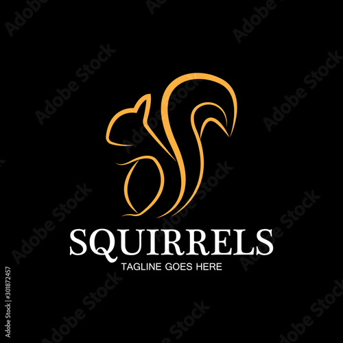 creative squirrel animal logo design icon symbol illustration-vector