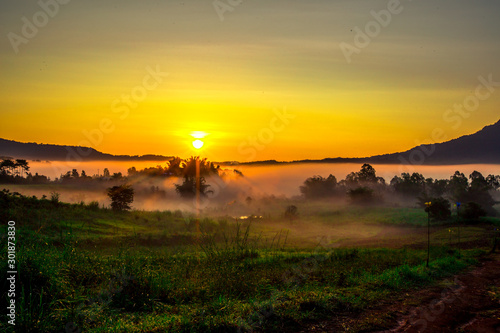 Natural blurred background of fog scattered among trees in the morning  with soft sunlight from the sun  seasonal beauty.
