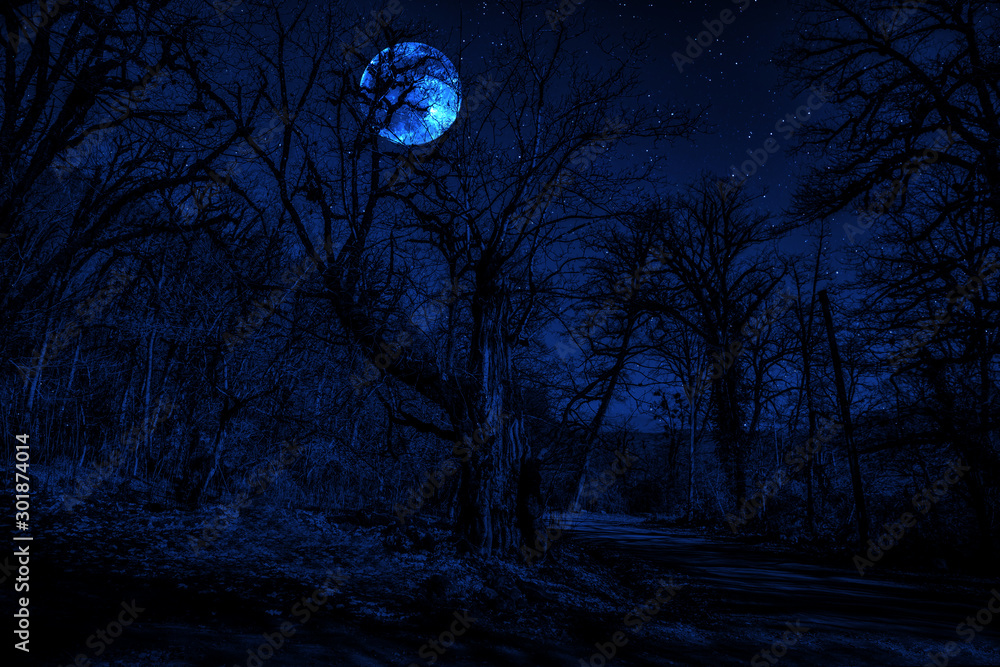 Long exposure shot. Mountain Road through the forest on a full moon night. Scenic night landscape of dark blue sky with moon. Azerbaijan Long exposure shot. Mountain Road through the forest on a full moon night. Scenic night landscape of dark blue sky with moon. Azerbaijan