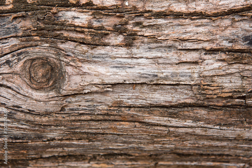 Beautiful pattern on wood texture background Beautiful pattern on wood texture background