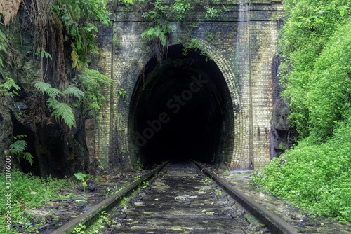Wallpaper Mural Beautiful shot of train rails surrounded by nature leading to the dark tunnel