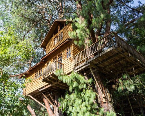 Treehouse