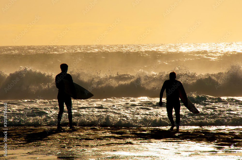 Surfers Silhouette in Ocean - obrazy, fototapety, plakaty 
