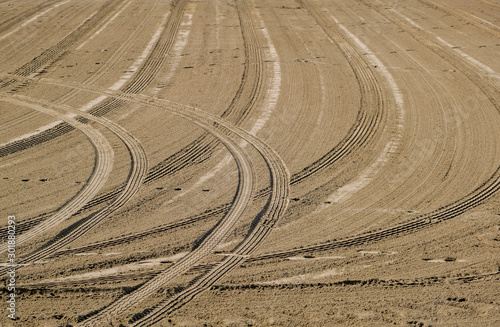 Traces of car tires in the sand. Empty beach on a sunny day. Preparing the place for the game. Sandy surface with prints.