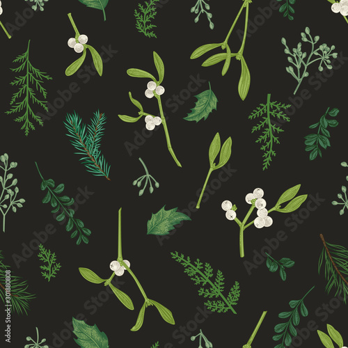 Seamless pattern with winter plants.