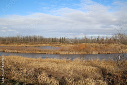 Late Autumn On The Wetlands  Pylypow Wetlands  Edmonton  Alberta