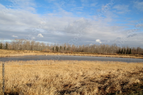 Early November On The Wetlands, Pylypow Wetlands, Edmonton, Alberta © Michael Mamoon