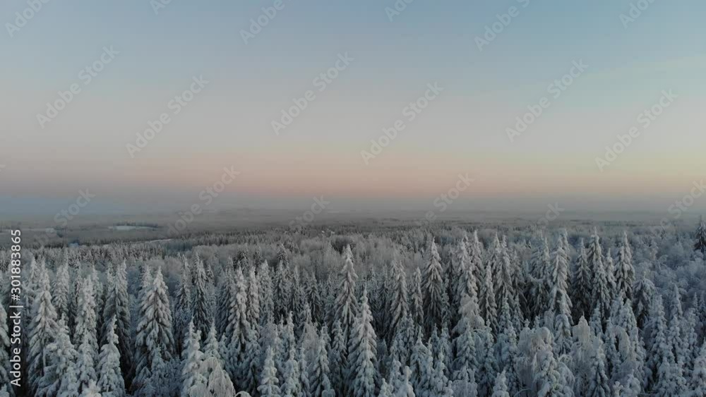 Winter landcape Winter landcape