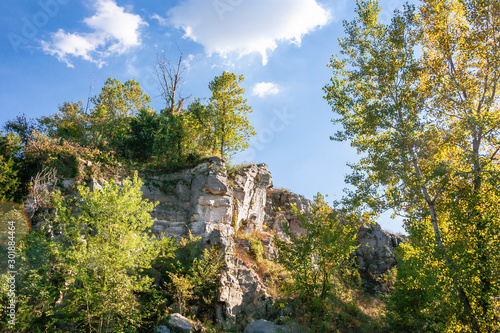 landscape with trees and a rocky outcrop 