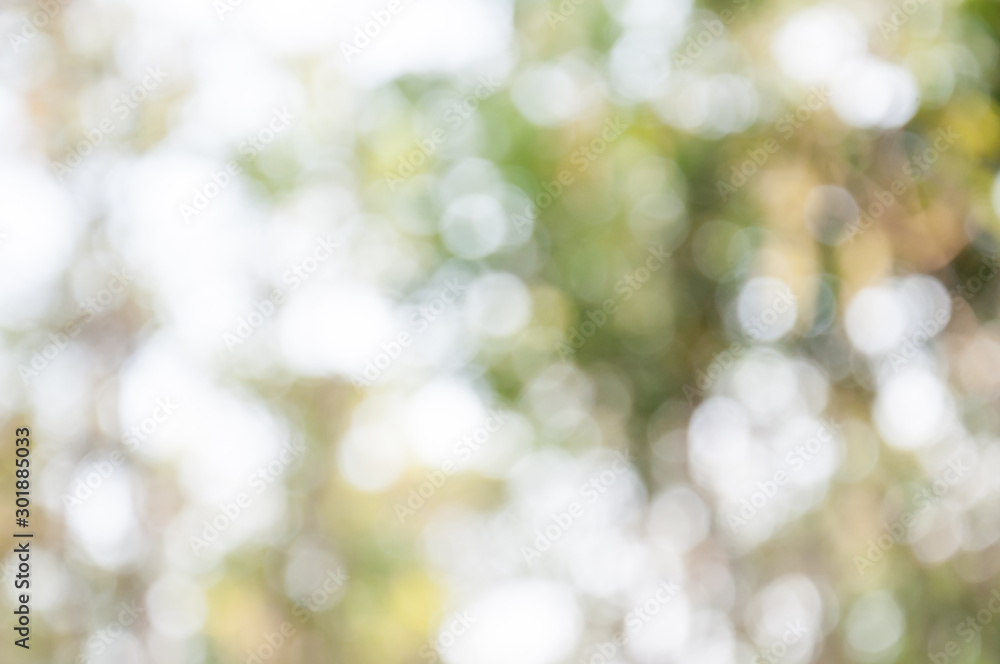 Natural outdoors bokeh in green and yellow tones Natural outdoors bokeh in green and yellow tones