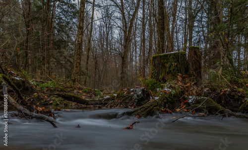 old stump in autumn scene with long exposure stream in Pennsylvania forest 