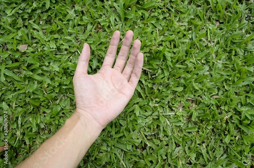 Hand touching green grass field © mansum008