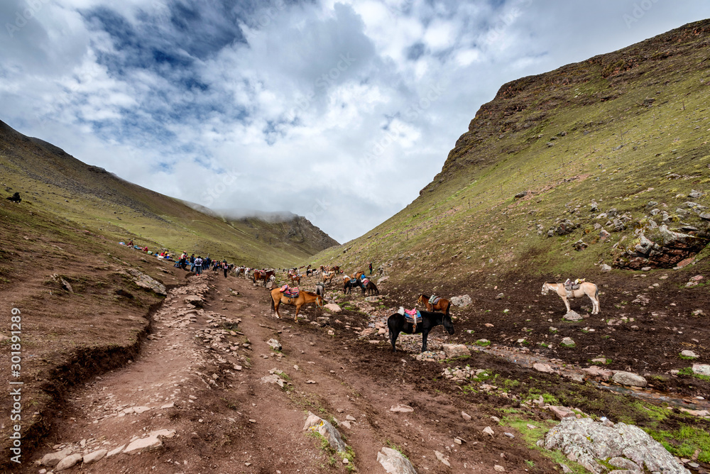 Quechuans and their horses on the Peruvian Andes. The horses are generally used to help hikers up the mountains.