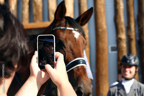 A girl photographs a horse in ammunition on the phone. Close-up, horizontal, rear view. Sport and hobby concept.