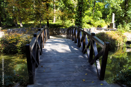 Wooden bridge on the small river in the city park.
