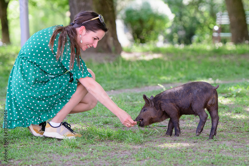 Fotobehang girl feeds a little pig