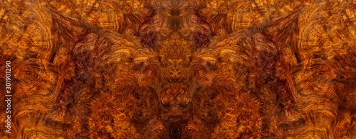 Afzelia burl wood striped