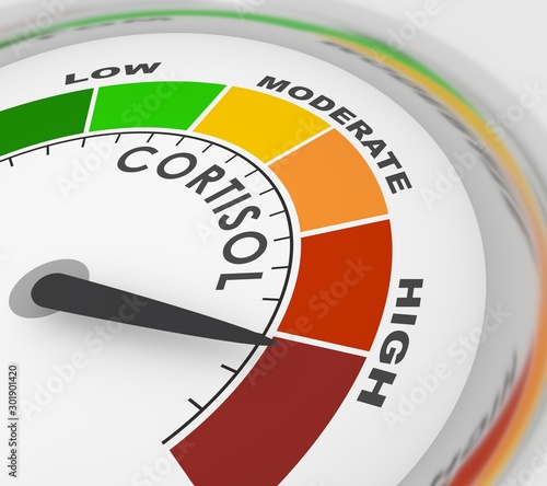 Hormone cortisol level measuring scale. Health care concept illustration. 3D rendering photo