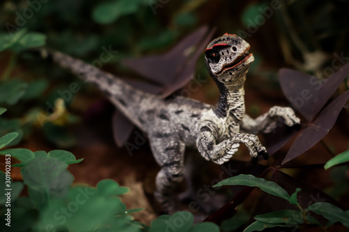 Bild auf Leinwand Dinossauro de brinquedo em plantas