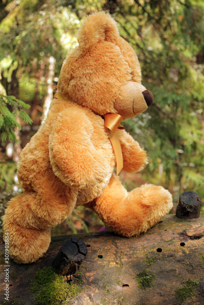 A toy brown bear is walking in the forest.