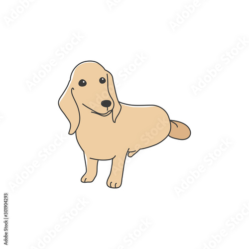 犬　ポーズ　表情　１匹　ミニチュアダックスフンド　お座り
