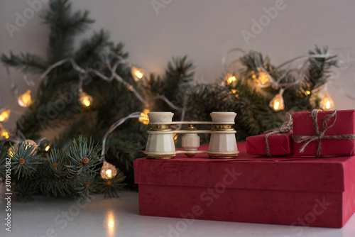 Принти на полотні Abstract creative christmas background with opera glasses, fir branch, white paper for yout text