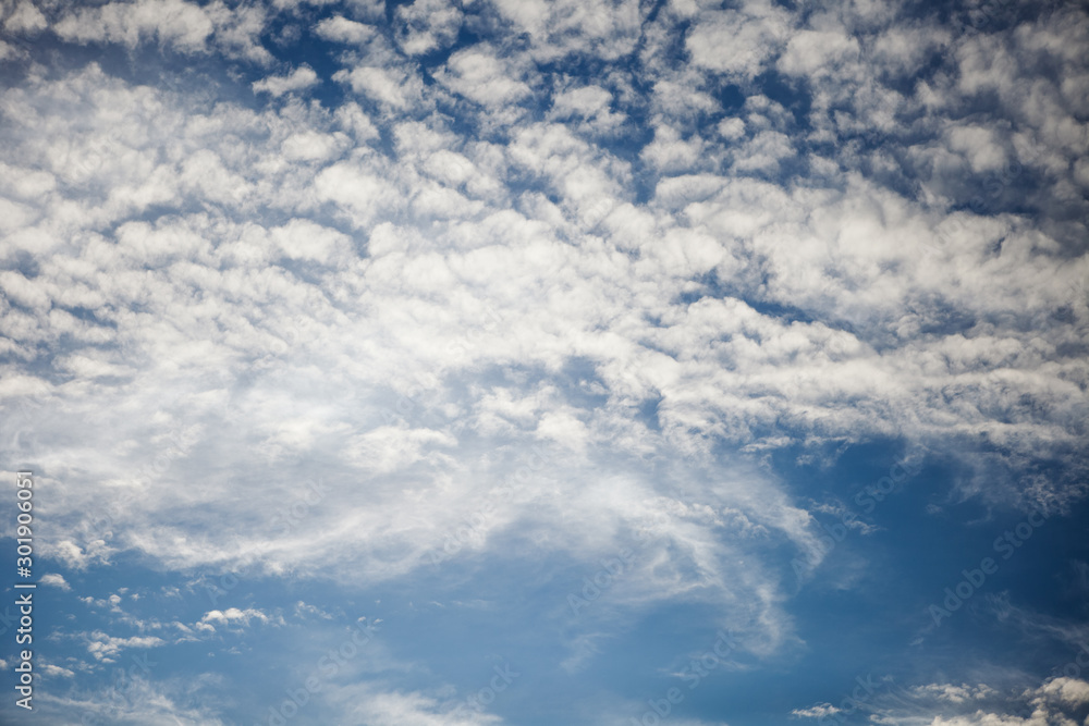 Fototapeta premium Cirrus white clouds.