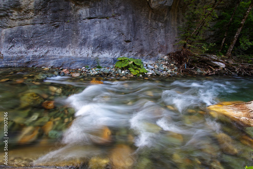 The Radika River in Mavrovo National Park, Macedonia photo