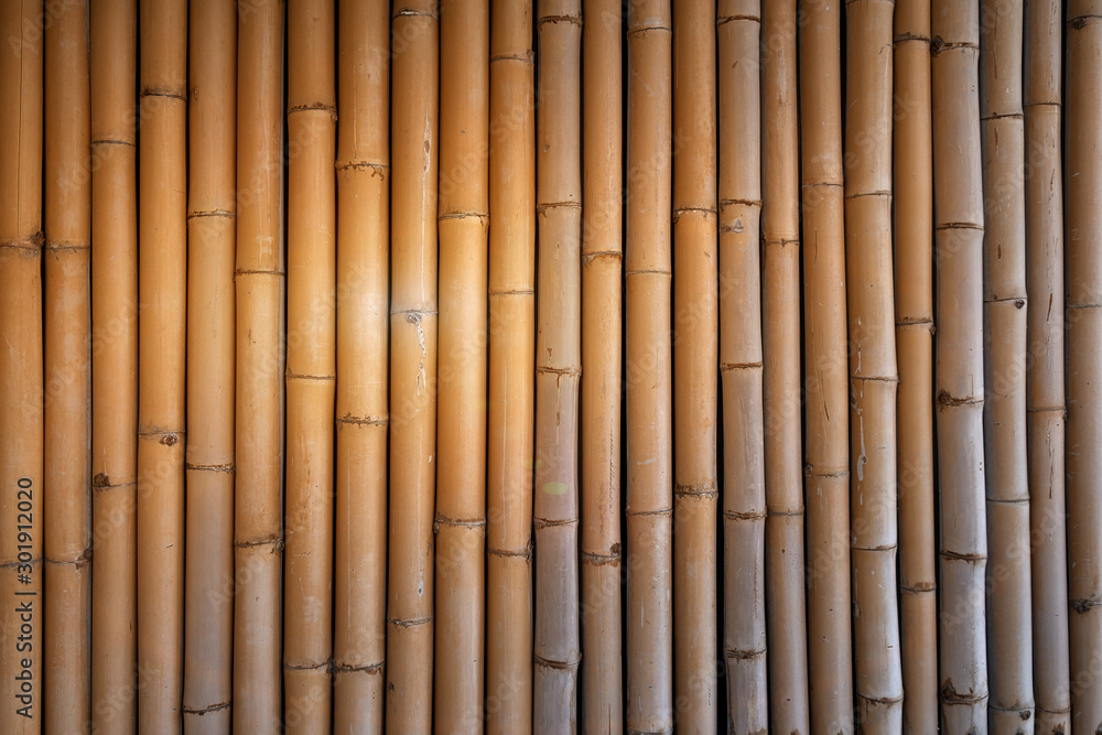 Fototapeta premium sunset on vintage bamboo wall.