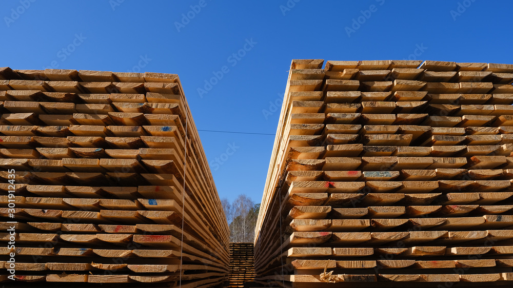 Wood timber in the sawmill. Piles of wooden boards in the sawmill. Wood timber in the sawmill. Piles of wooden boards in the sawmill.