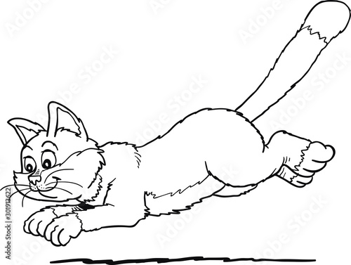 Vector drawing of a running cat
