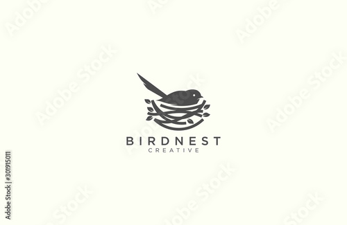 Amazing bird and nest logo design 
