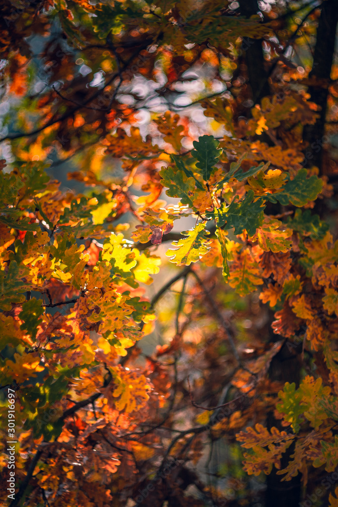 Nature beauty Nature beauty