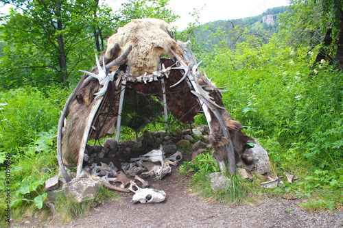 Replica wigwam covered with animal skins on a summer day. The cabin of an ancient man. A prehistoric house made of leather skins with scattered animal bones and skulls. photo