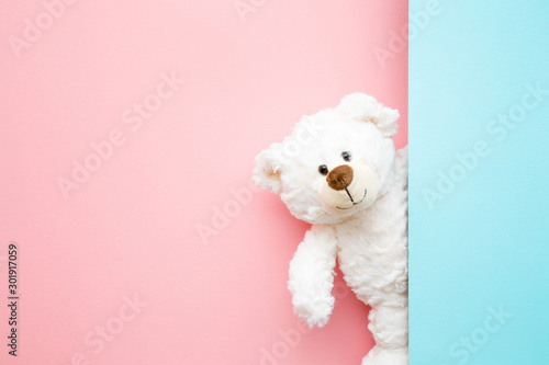 Obraz na plátně Smiling white teddy bear looking behind pastel blue wall