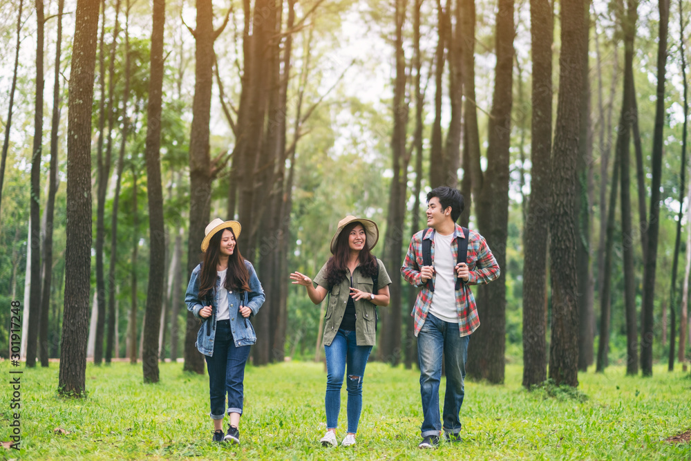 A group of travelers walking and looking into a beautiful pine woods A group of travelers walking and looking into a beautiful pine woods