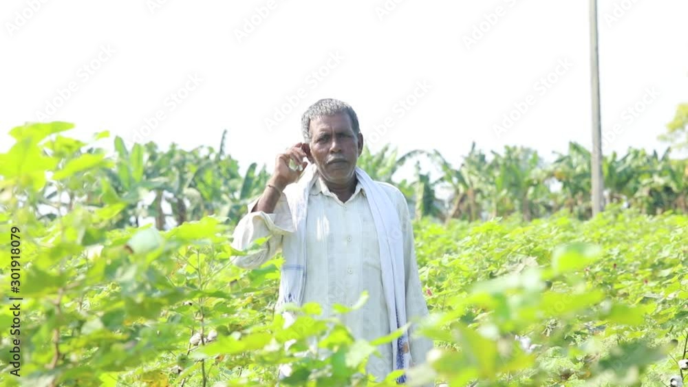 Indian man in a field talking on phone Indian man in a field talking on phone