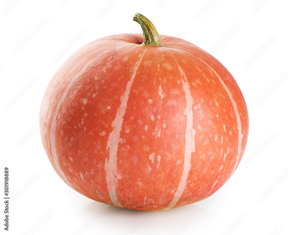 Pumpkin isolated on white background. Pumpkin isolated on white background.