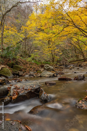 Tatsuzawafudo waterfall in autumn Fall season at Fukushima. There is the waterfall in inawashiro  Fukushima  Japan.