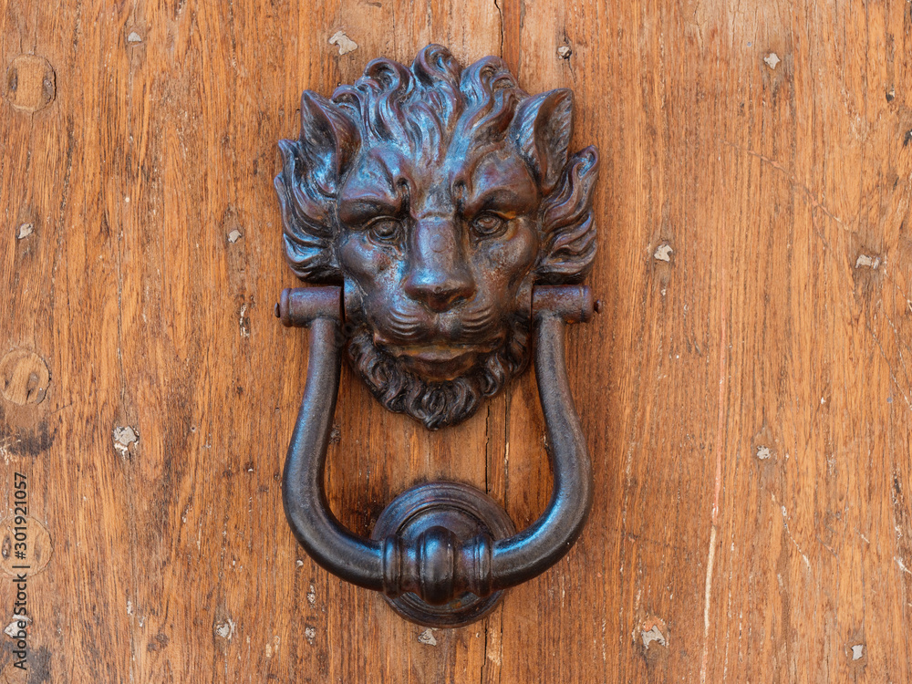 Door hand in the form of a lion. Italy