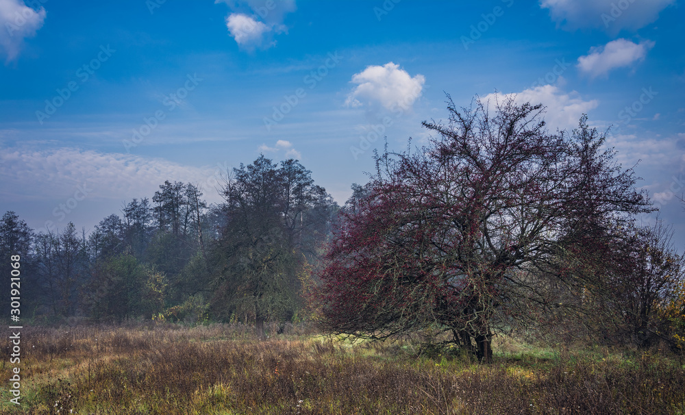 Obraz premium Sunrise on river