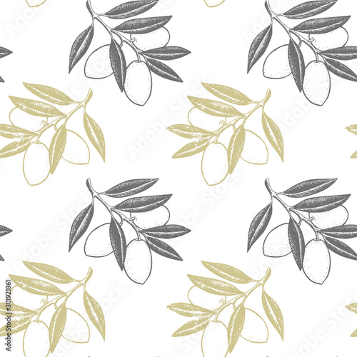 Hand drawn seamless pattern. Olive branches and fruits for Italian, Greek cuisine design, extra virgin oil food or cosmetic product packaging wrapper. Vector illustration isolated on white background